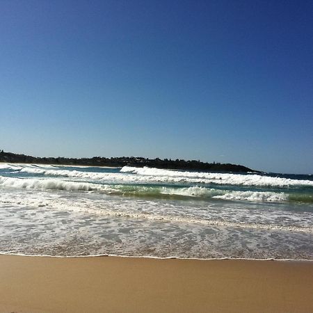 Mollymook Paradise Haven Motel Екстер'єр фото