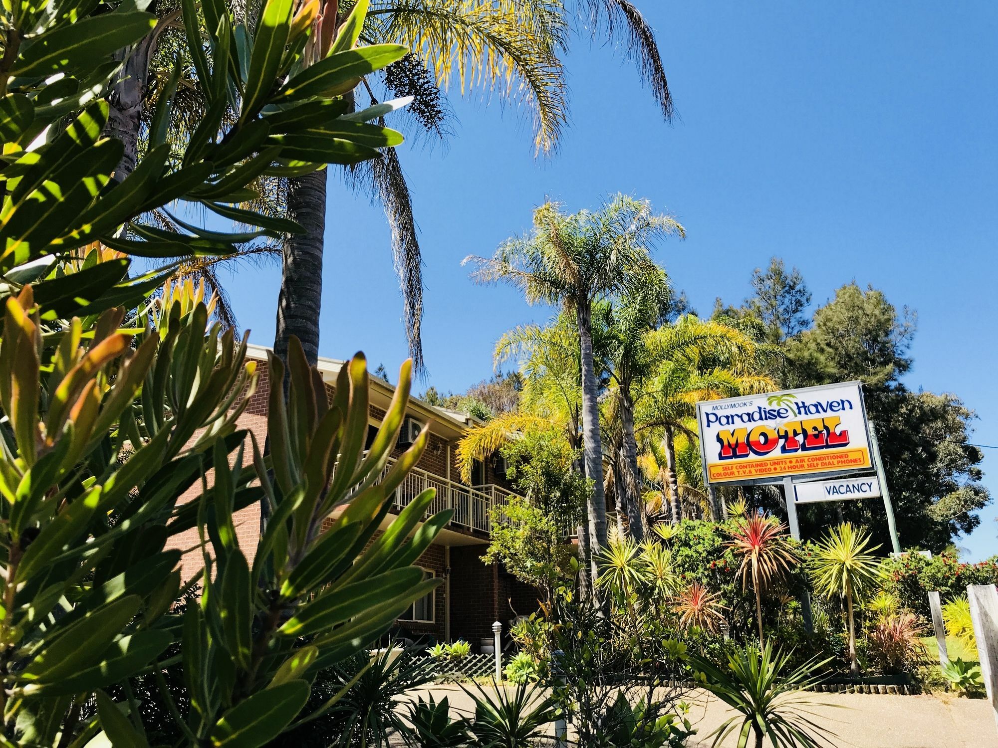 Mollymook Paradise Haven Motel Екстер'єр фото